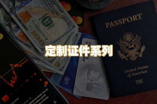 定制证件系列